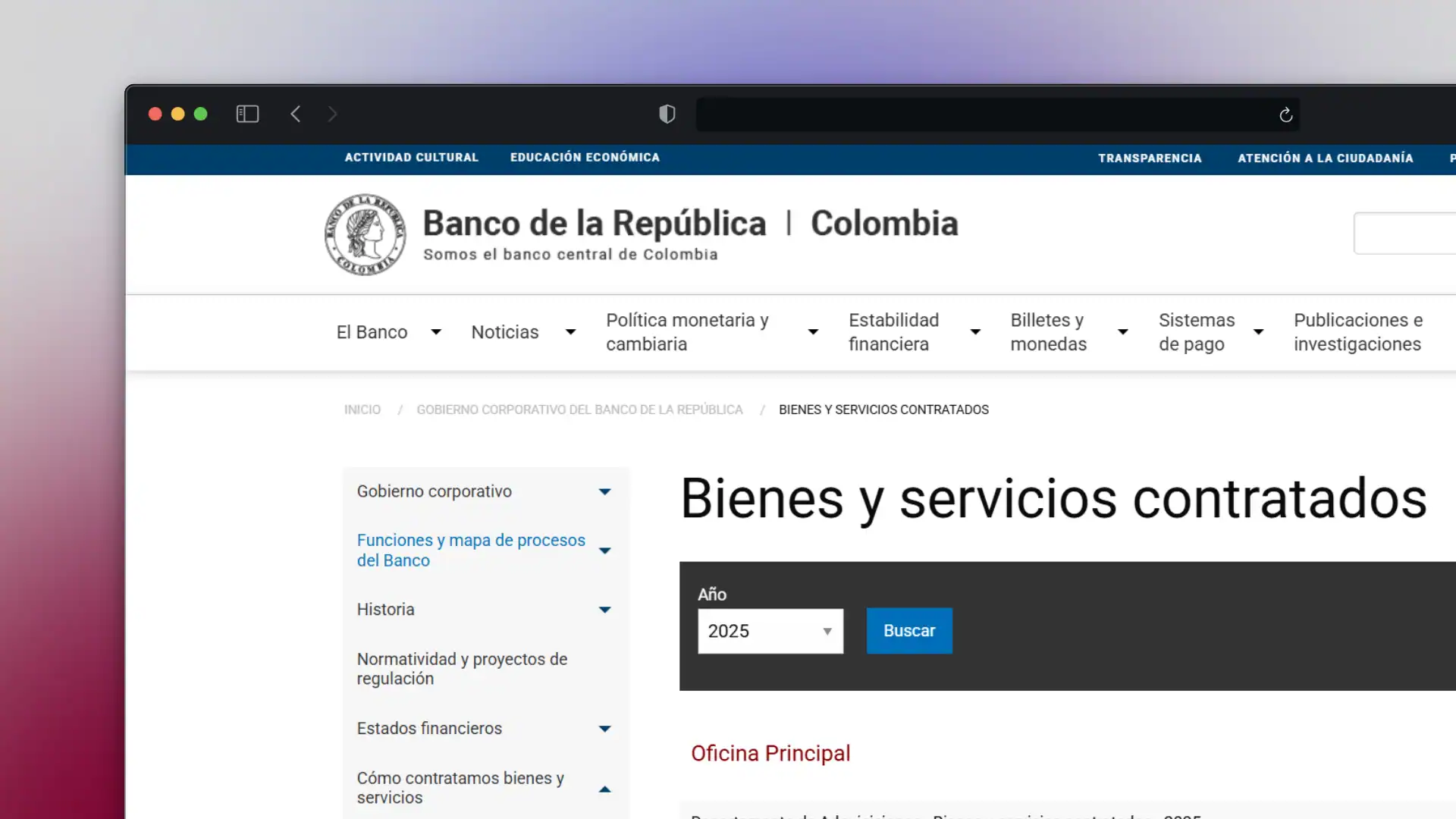 Recién llegado vs 5 años en Nueva Zelanda